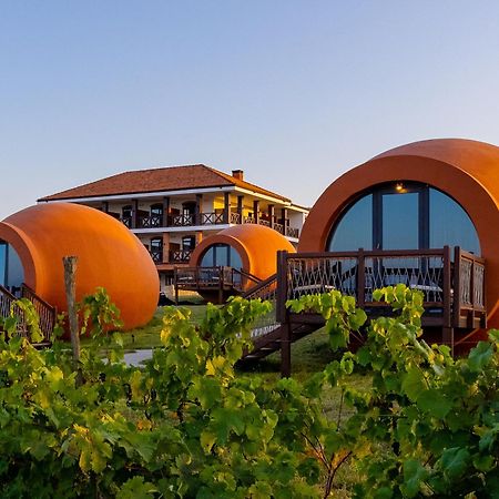 Hotel Qvevrebi Telavi Ngoại thất bức ảnh