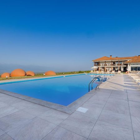 Hotel Qvevrebi Telavi Ngoại thất bức ảnh