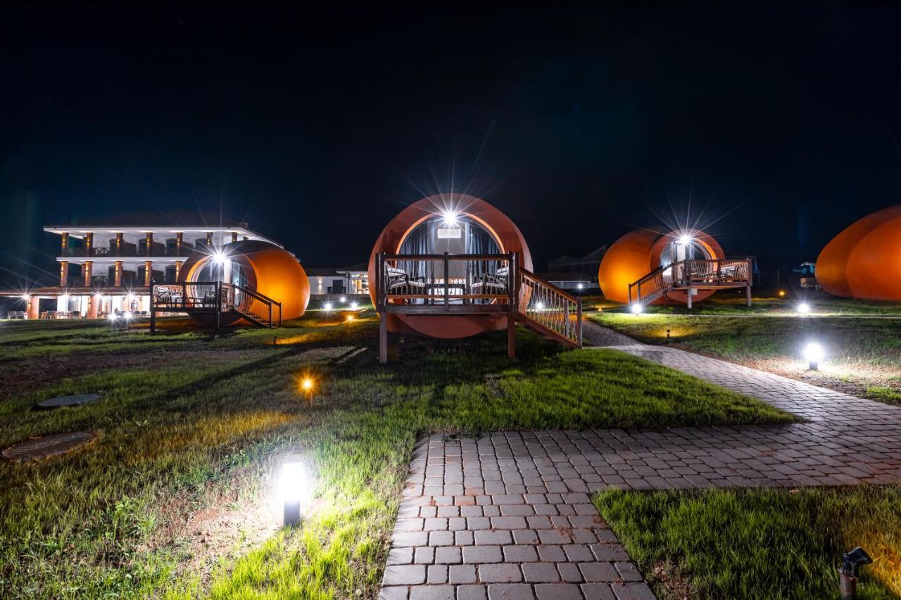 Hotel Qvevrebi Telavi Ngoại thất bức ảnh