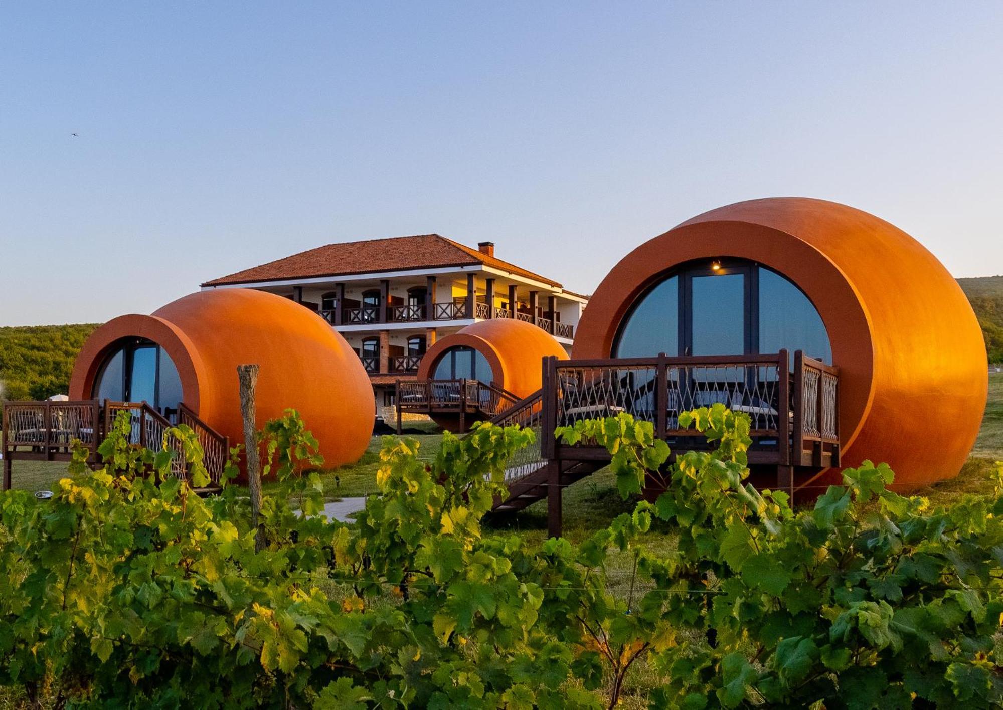 Hotel Qvevrebi Telavi Ngoại thất bức ảnh